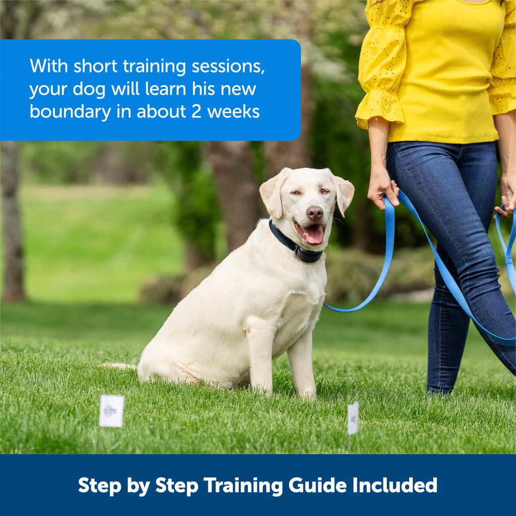 Petsafe free to deals roam collar