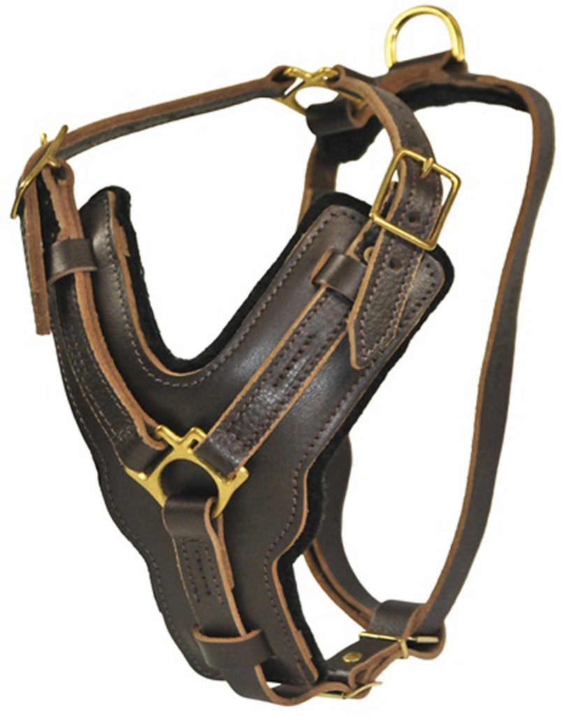 Dean and Tyler The Victory Solid Brass Hardware Dog Harness Black Me