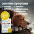 HomeoPet Joint Stress, 15 ml