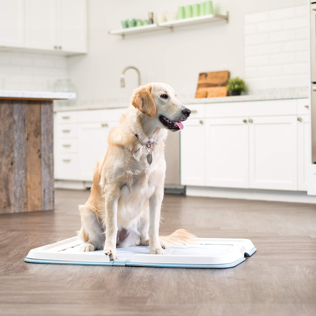 IRIS Pet Training Pad Floor Tray PETOLY