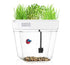 Back to the Roots Water Garden Mini Aquaponics Beta Fish Tank (Packaging May Vary)