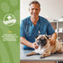 NaturVet - No Scoot for Dogs - 60 Soft Chews - Plus Pumpkin - Supports Healthy Anal Gland & Bowel Function - Enhanced with Beet Pulp, Flaxseed & Psyllium Husk