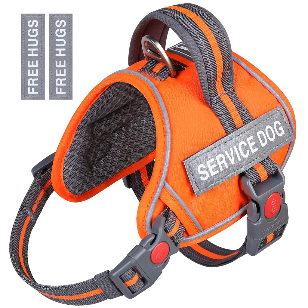 Vivaglory dog vest shop