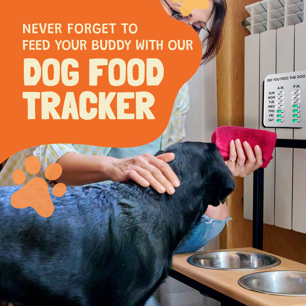 The Did You Feed The Dog? – PETOLY