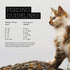 Fussie Cat Chicken with Vegetables in Gravy Cat Food - 24-2.82-oz. Cans
