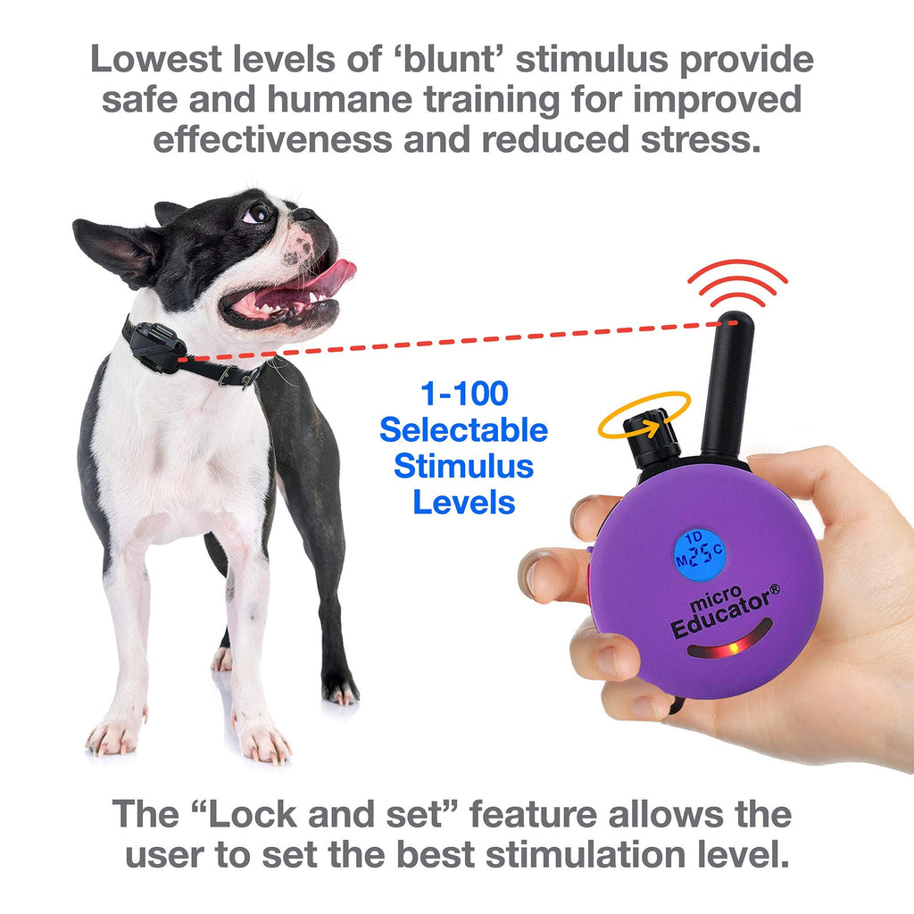 Educator E-Collar Humane Dog Training Collar with Remote, Features 100 Levels of Safe Stimulation, Tapping Sensation, Night Light, Waterproof, Rechargeable, 1/3 Mile 1 Small Dog, Purple
