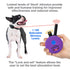 Educator E-Collar Humane Dog Training Collar with Remote, Features 100 Levels of Safe Stimulation, Tapping Sensation, Night Light, Waterproof, Rechargeable, 1/3 Mile 1 Small Dog, Purple