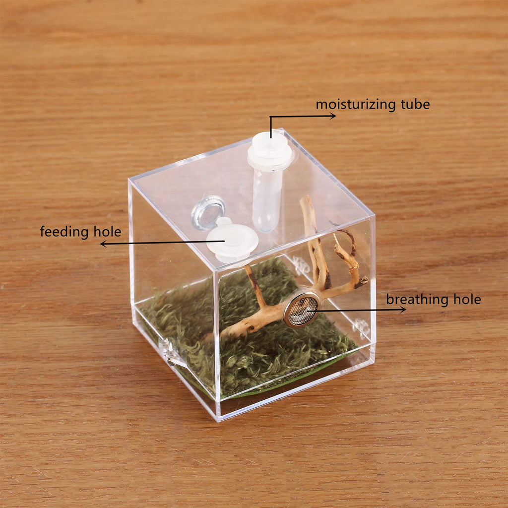 Jumping Spider Breeding Box Landscape Case Enclosure Accessories