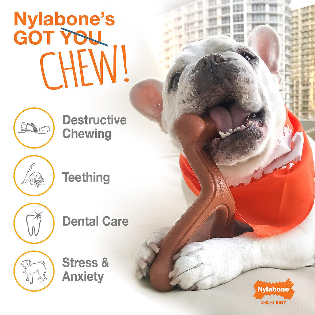 Nylabone Power Chew DuraChew Axis Bone Dog Chew Toy, X-Large