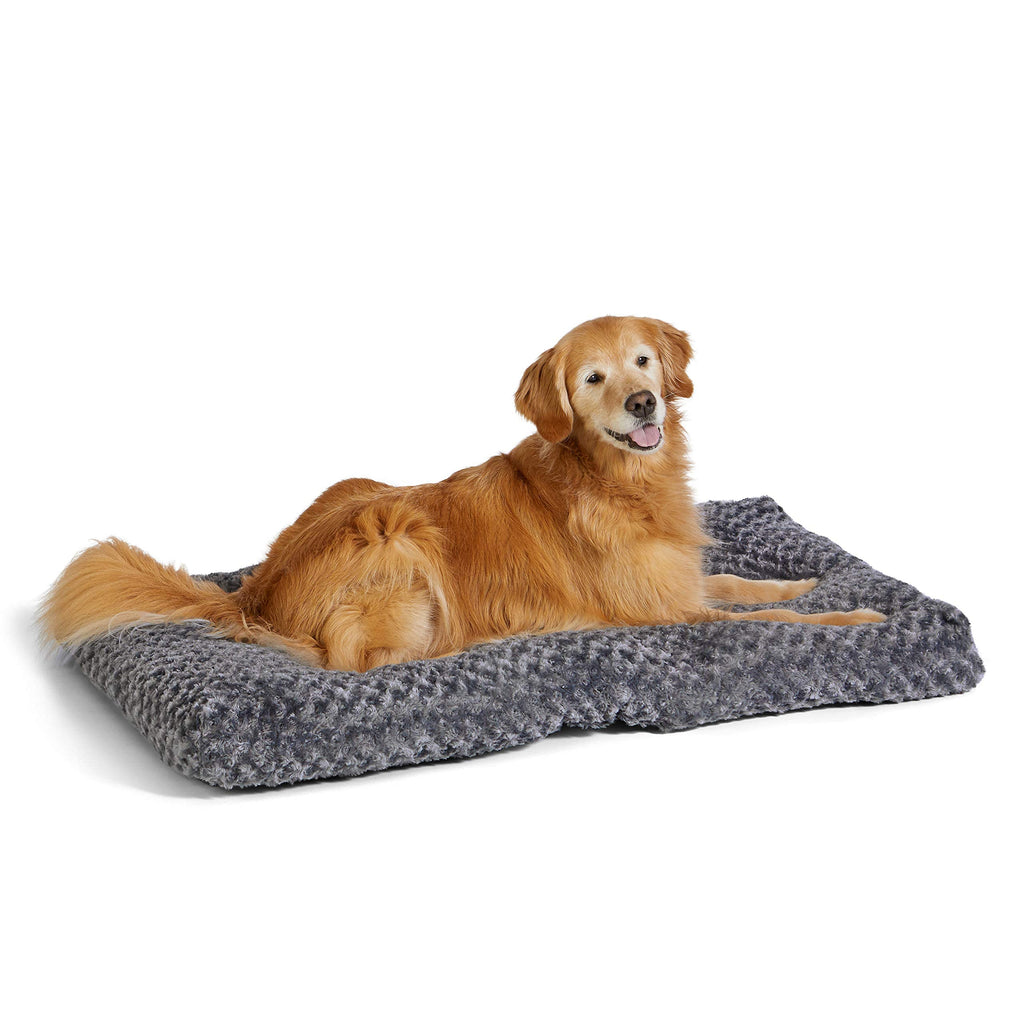 Amazonbasics dog bed top