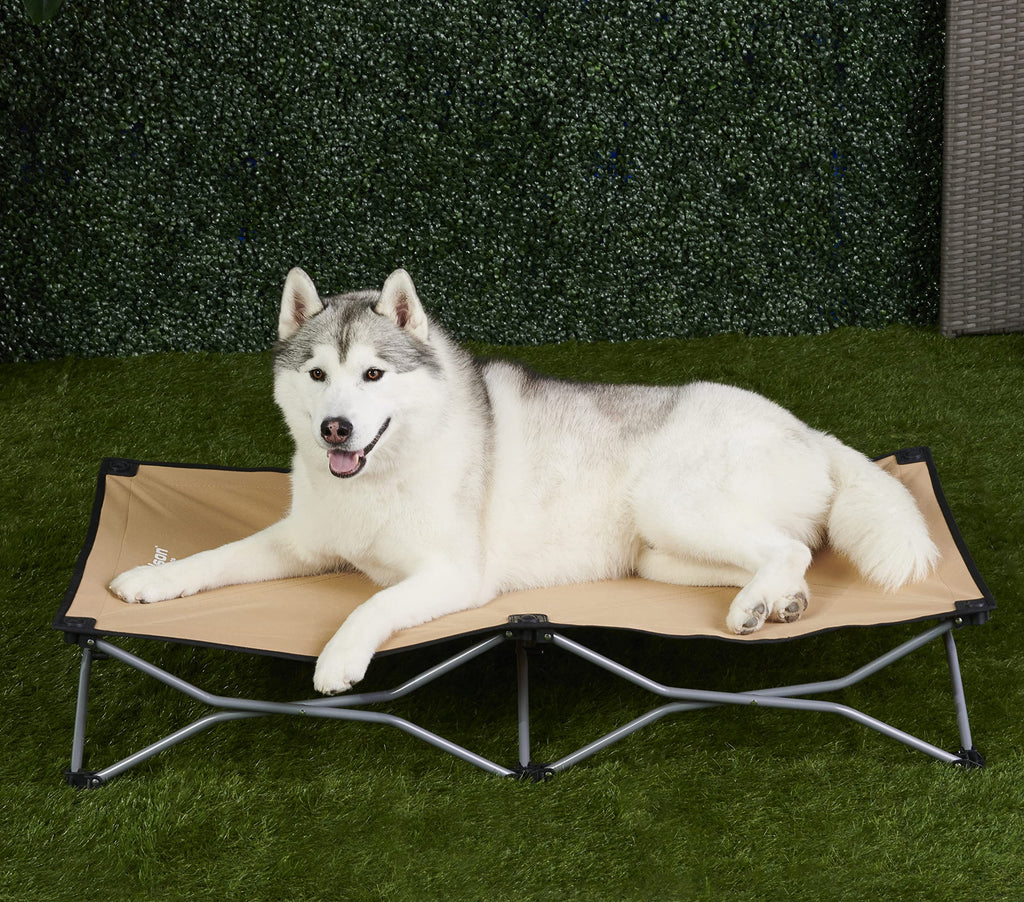 Carlson pet products portable pup travel pet best sale bed