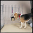 ProSelect Stainless Steel Flat Sided Pails - Durable Pails for Fences, Cages, Crates, Or Kennels - 5, 1-Quart