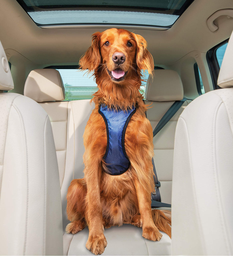 PetSafe Happy Ride Certified, Crash-Tested, Comfortable, Durable, Dog Safety Harness, Large