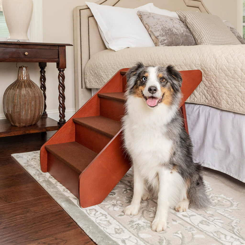 Petsafe deals solvit pupstep