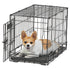 Dog Crate | Midwest Life Stages XS Folding Metal Dog Crate | Divider Panel, Floor Protecting Feet, Leak-Proof Dog Tray | 22L x 13W x 16H inches, XS Dog Breed