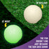 Chew King 2 Piece Glowing Fetch Ball