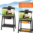 Aqueon Forge Aquarium Stand 20 By 10-Inch (Rust Resistant, Pack Of 1)