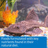 AQUARIUM PHARMACEUTICALS Api Algae Eating Wafer 1.3oz
