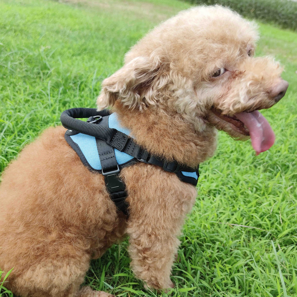 COODEO Dog Harness No Choke Dog Harness with Easy Control Handle