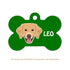 Taggie, Golden Dog Tag, Bone