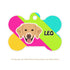Taggie, Golden Dog Tag, Bone
