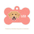 Taggie, Golden Dog Tag, Bone