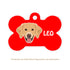 Taggie, Golden Dog Tag, Bone