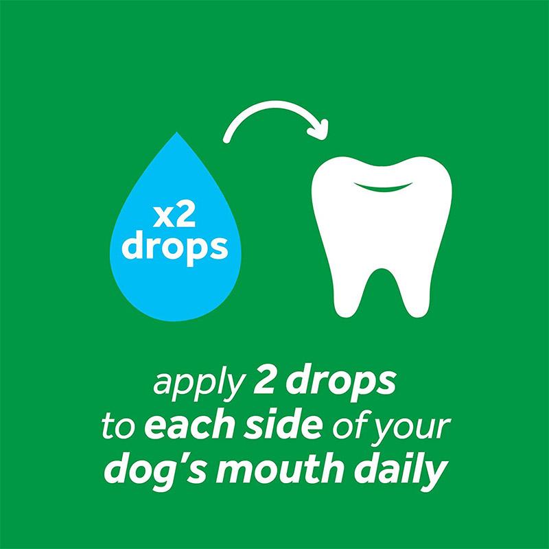 Tropiclean Fresh Breath Clean Teeth Brushing Gel For Dogs, 118 ml