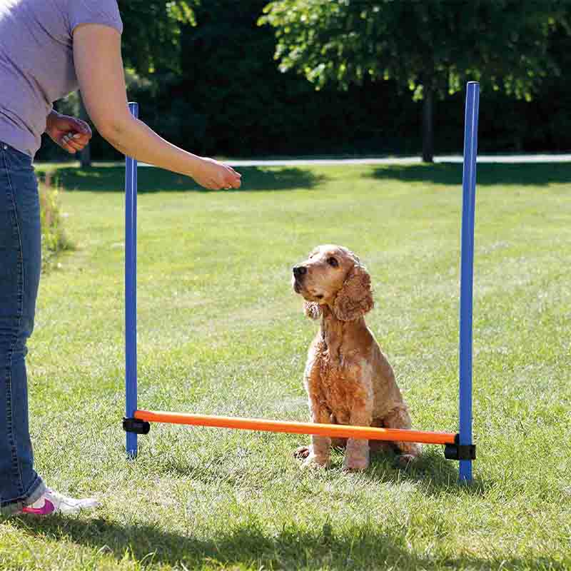 Trixie Dog Agility Hurdle, Blue & Orange, (4 ft x 3.8 ft x 1.2 inch)