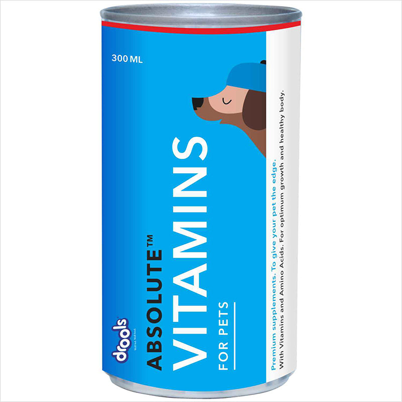 Drools Absolute Vitamin Syrup Dog Supplement