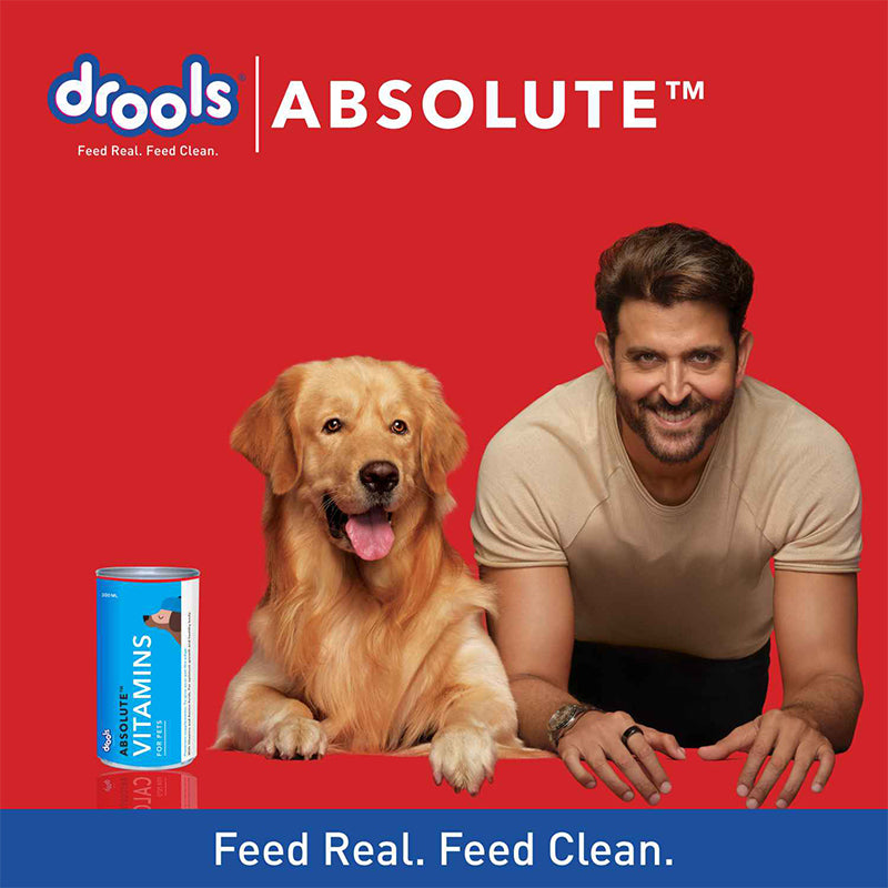 Drools Absolute Vitamin Syrup Dog Supplement