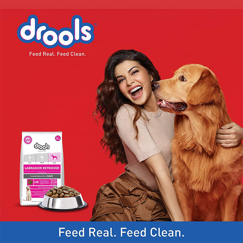 Drools Labrador Adult Premium Dog Food