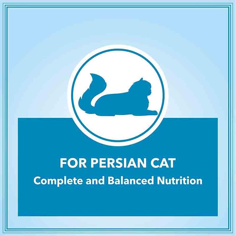 Let's Bite Active Persian Adult (+1 Year) Ocean Fish, Dry Cat Food