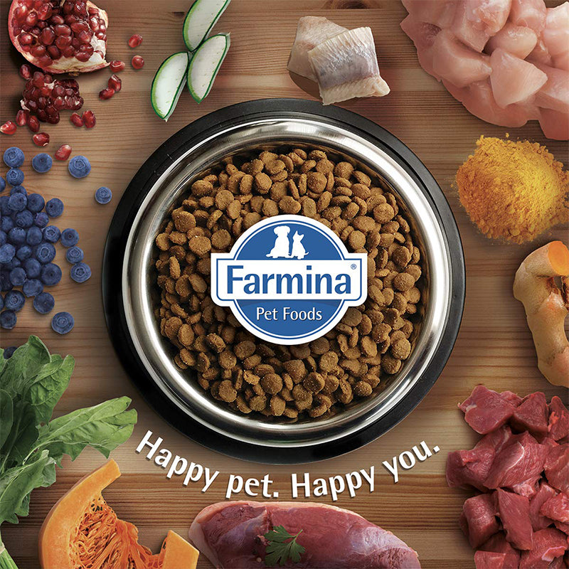 Farmina N&D Pumpkin, Lamb and Blueberry Grain Free Dry Puppy Food for Mini Breed