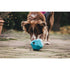 Ruffwear Gnawt-a-Rock Toy for Dogs