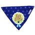Lana Paws Big Bro Adjustable Dog Bandana/Scarf, Blue and Yellow