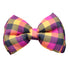 Lana Paws Classic Style Check Adjustable Dog Bowtie, Multi-coloured