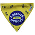 Lana Paws Forever Hungry Adjustable Dog Bandana/Scarf, Yellow