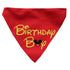 Lana Paws Birthday Boy Adjustable Dog Bandana/Scarf, Red and Yellow