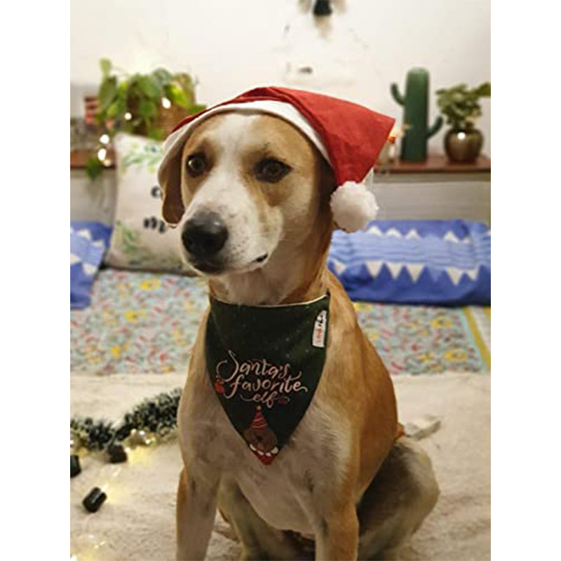 Lana Paws Santa's Favourite Elf Adjustable Dog Bandana/Scarf, Multi-Coloured