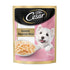 Cesar Adult Premium Wet Dog Food (Gourmet Meal) Sasami, 70 g
