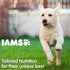 IAMS Proactive Health Smart Puppy Large Breed (<2 Yrs) Chicken, Dry Dog Food