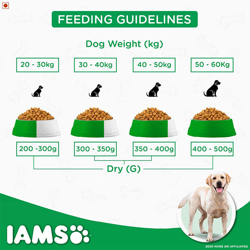 IAMS Proactive Health Adult Labrador Retriever Dogs (1.5+ Yrs) Super Premium Dog Food, 10 kg