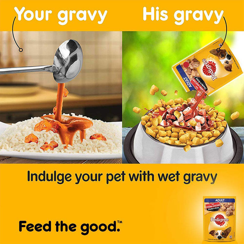 Pedigree Adult Chicken & Liver Chunks in Gravy, Wet Dog Food, 70 g (Pack of 15)