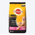 Pedigree Puppy Large Breed Dog Food, 10 kg
