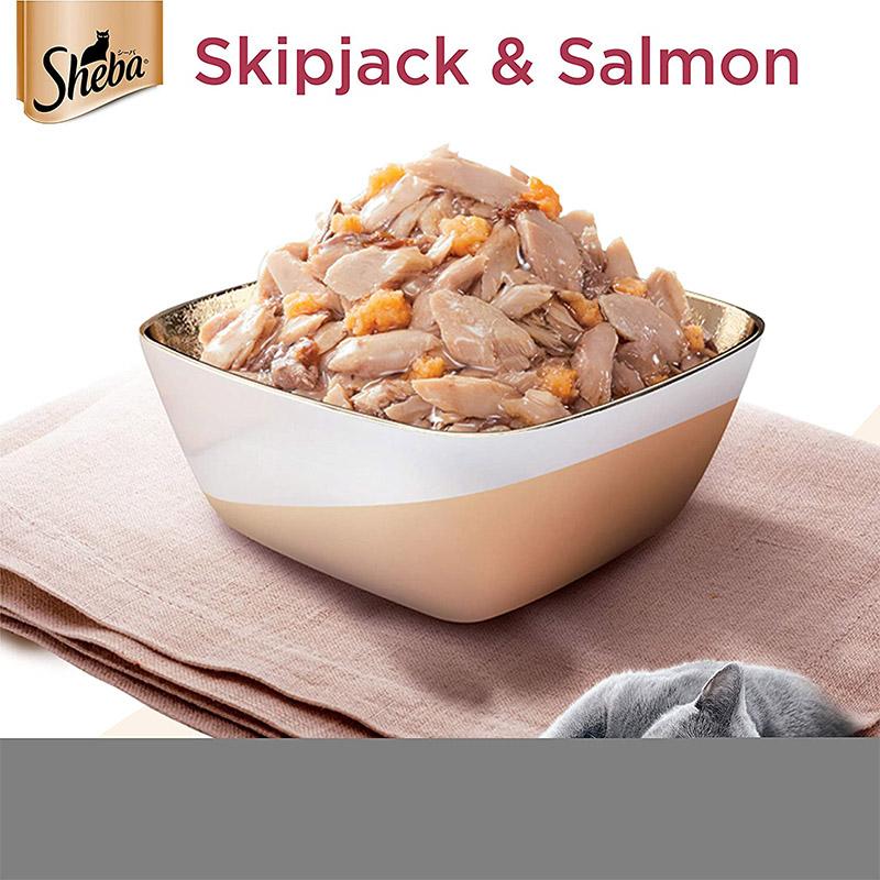Sheba Rich Skipjack & Salmon (Fish Mix) in Gravy, Premium Wet Cat Food 35 g (Pack of 12)