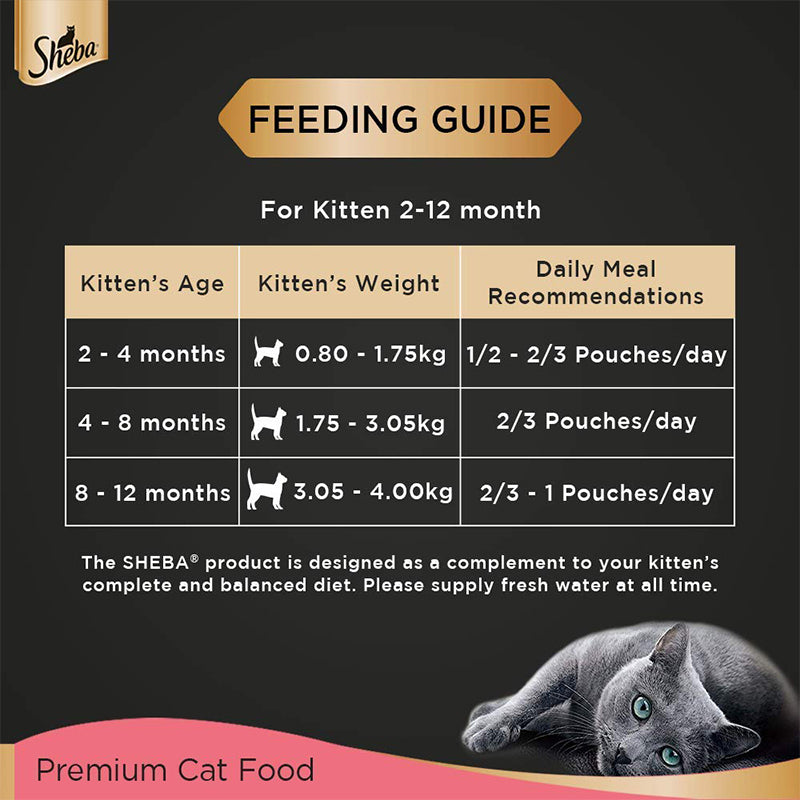 Sheba Premium Kitten (2 - 12 months) Fine Chicken Loaf Wet Cat Food, 70 g