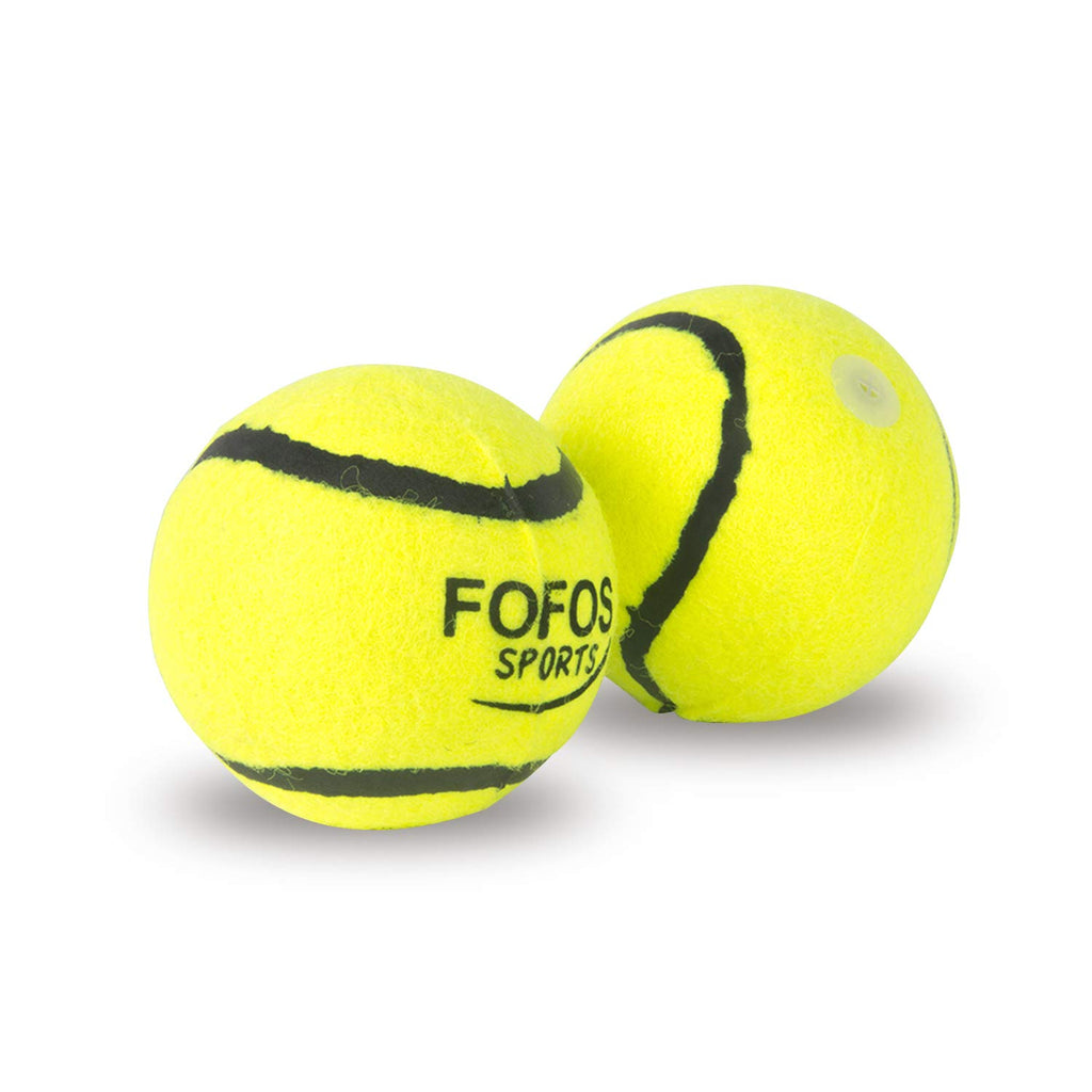 FOFOS Sports Fetch Ball, Dog Toy