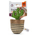 FOFOS Cat Toys-Green Cactus