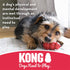 KONG Goodie Bone Dog Toy, Red